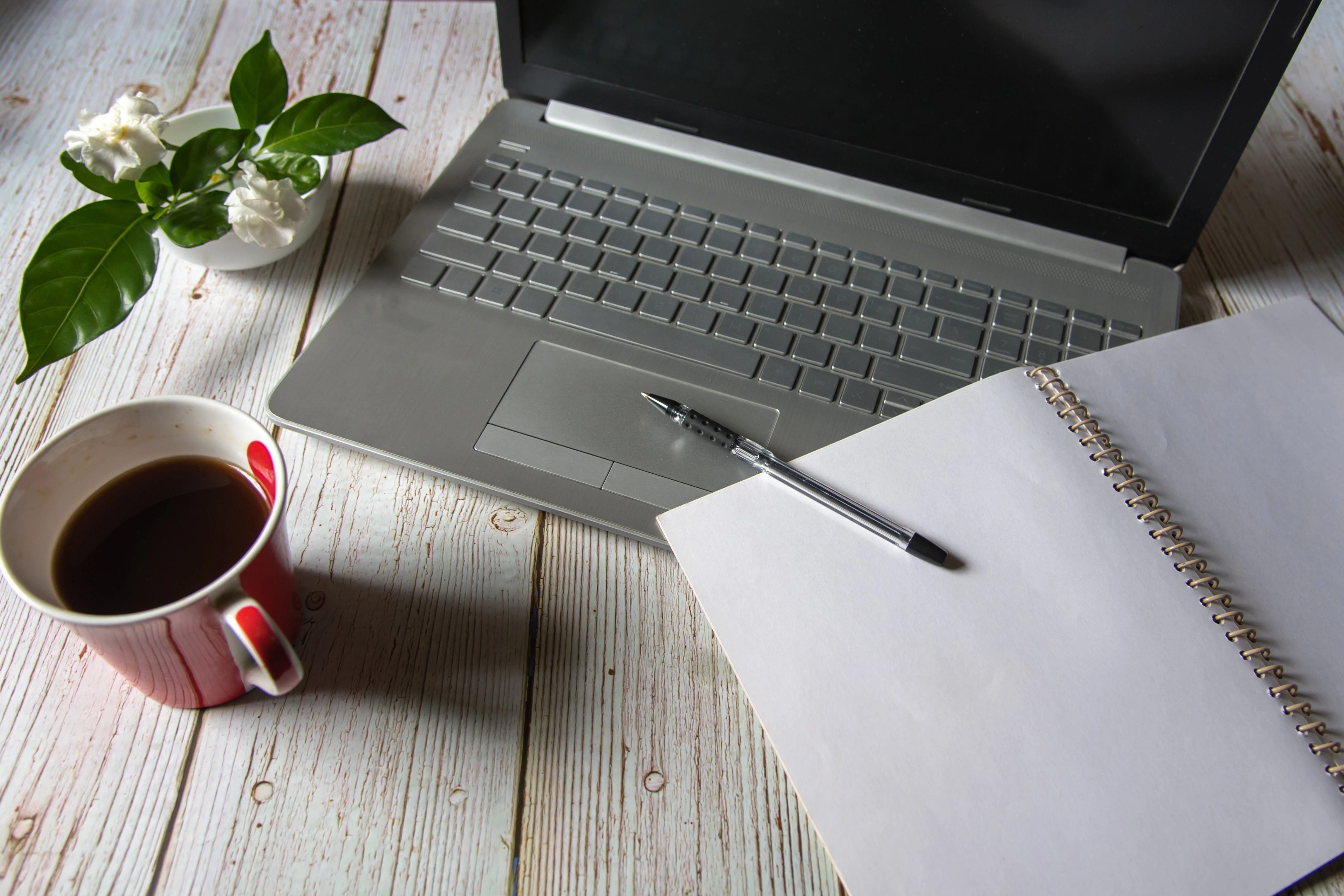 Webdesign - Shops und Websites